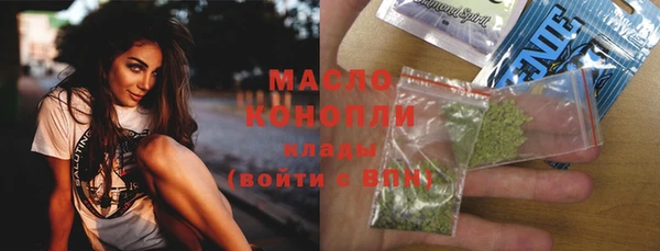 гашик Дмитров