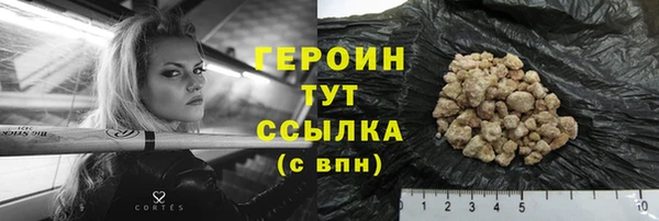гашик Дмитров