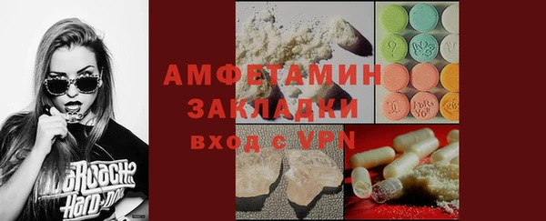 гашик Дмитров