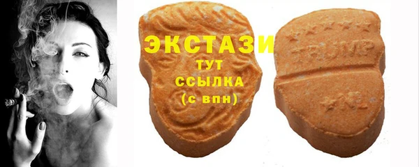 гашик Дмитров