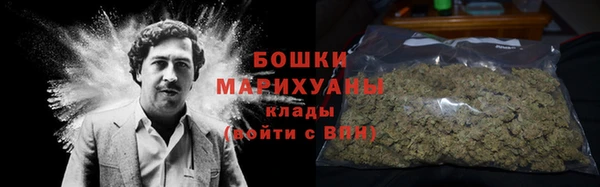 прущая мука Дмитриев
