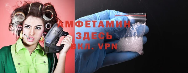 гашик Дмитров