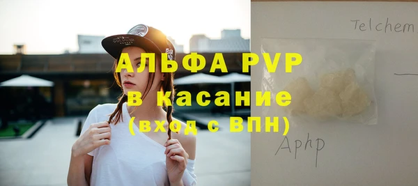 гашик Дмитров