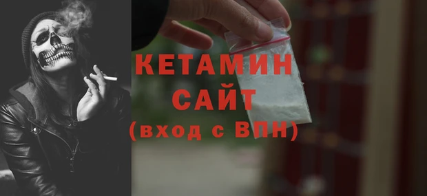 гашик Дмитров