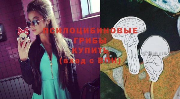 гашик Дмитров