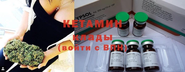 гашик Дмитров